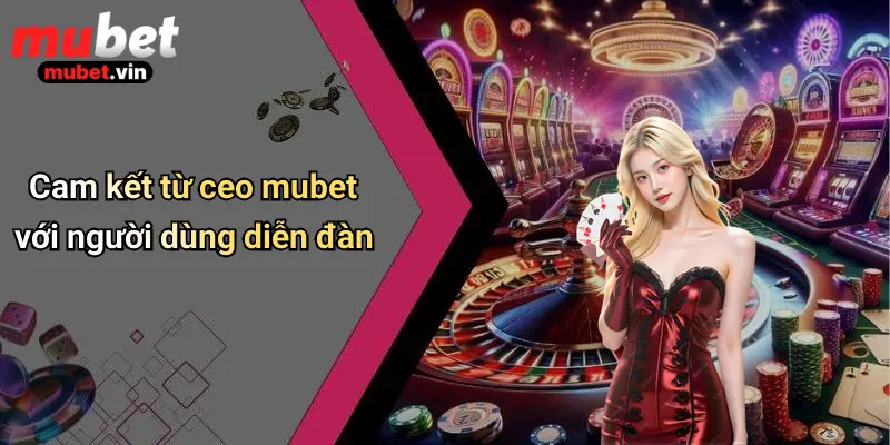 Cam kết từ ceo mubet với người dùng diễn đàn