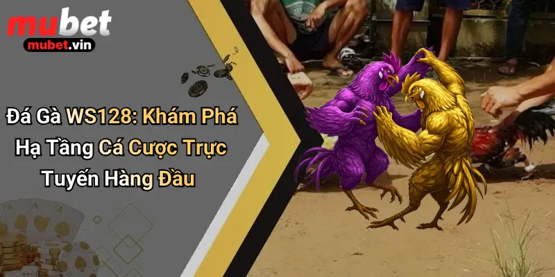 Đá Gà WS128: Khám Phá Hạ Tầng Cá Cược Trực Tuyến Hàng Đầu