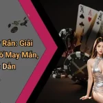 Ngủ Mơ Thấy Rắn: Giải Mã Ý Nghĩa, Số May Mắn, Cược Hấp Dẫn